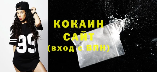индика Корсаков