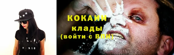 амф Краснослободск
