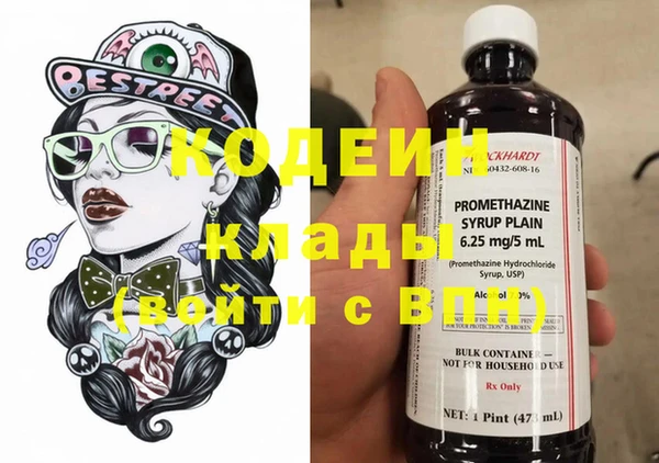 шишки Коряжма