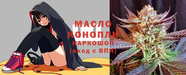 индика Красноперекопск