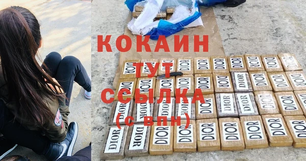 индика Красноперекопск