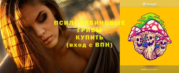индика Красноперекопск