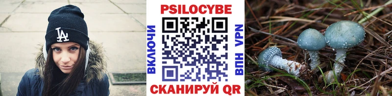 OMG   купить наркоту  Николаевск-на-Амуре  Галлюциногенные грибы GOLDEN TEACHER 